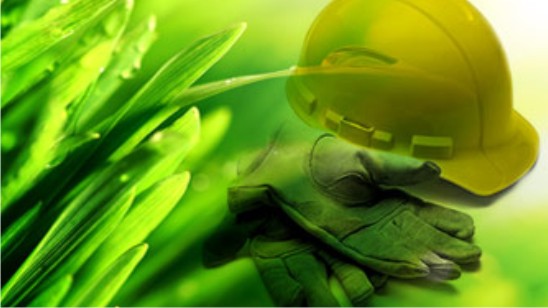 Environmental Consultants In India