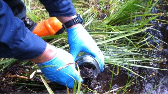 Environmental Consultants In India