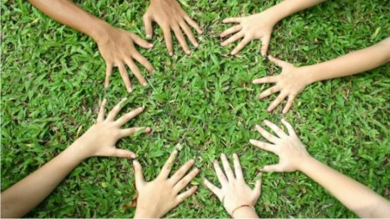 Environmental Consultants In India