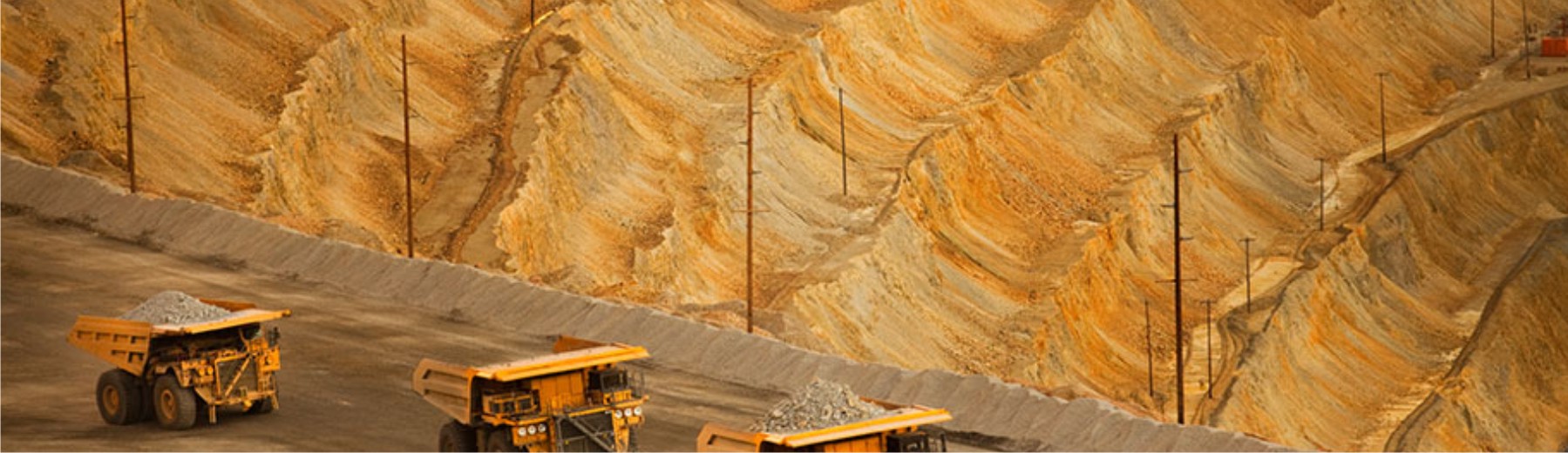 Environmental Consultants in India